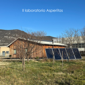 impatto ambientale